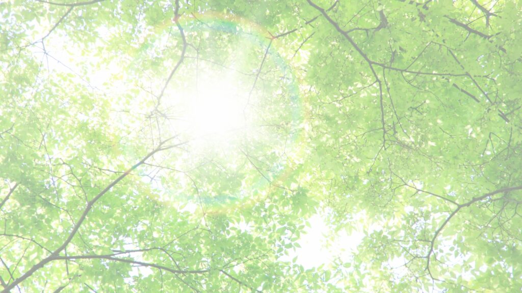 やわらかな光の中の風景