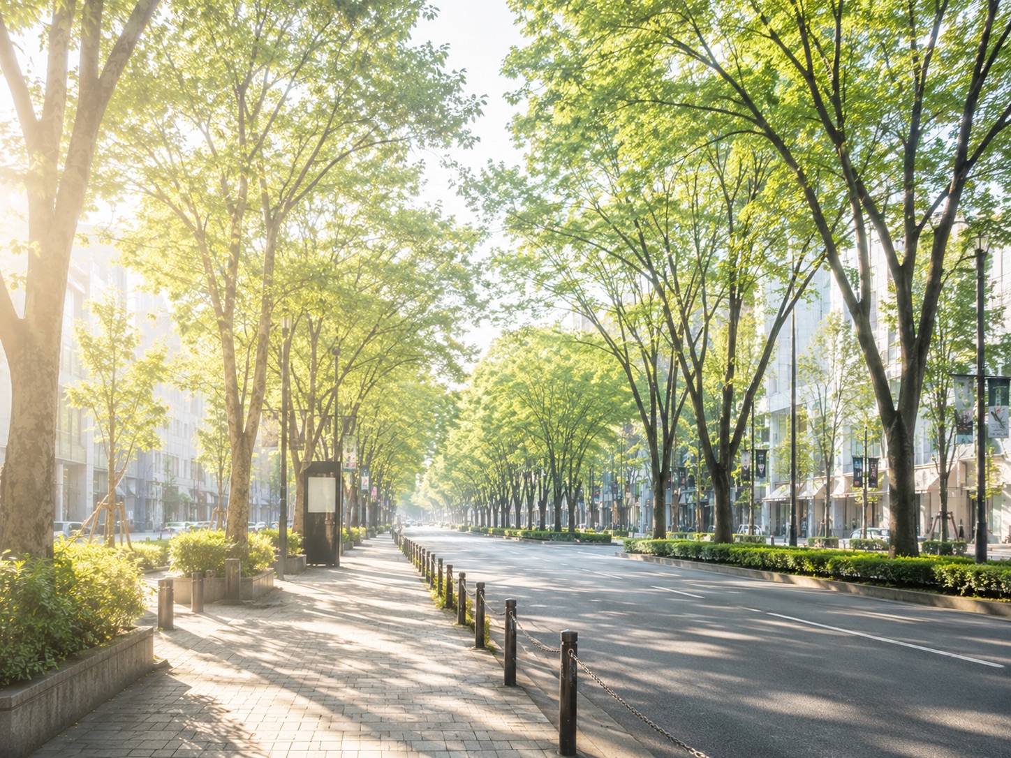 散歩道の木漏れ日